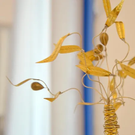 Anemelia 아파트