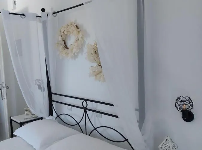 Anemelia 阿达玛斯